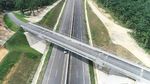 Penampakan Tol Pekanbaru-Dumai di Antara Kebun Sawit