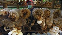 Menurut petani, permintaan pasar juga terus meningkat.