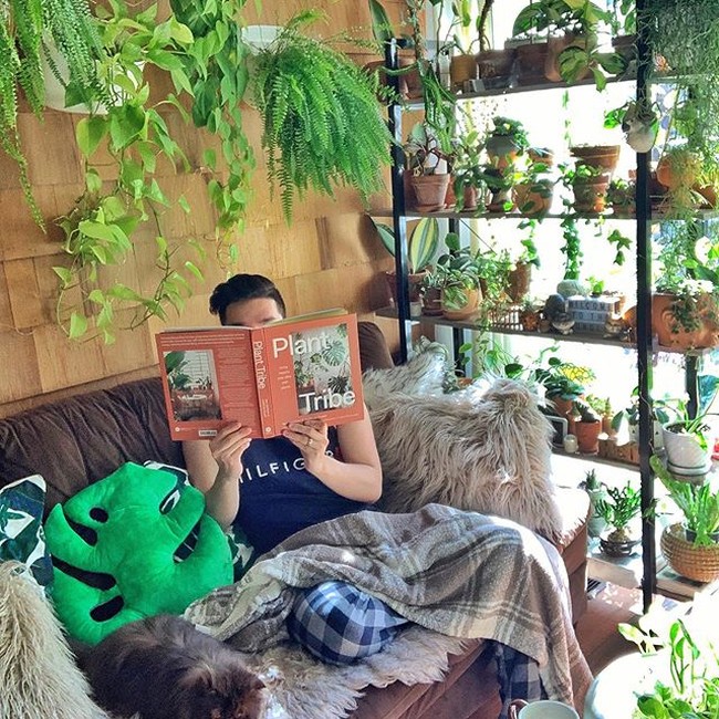 Pria berusia 30 tahun itu memiliki hingga ratusan koleksi tanaman di rumahnya. Ada sekitar 300 jenis tanaman yang ada di dalam rumahnya, sedangkan di luar rumahnya ada sekitar 70 jenis tanaman yang dipeliharanya. Foto: Instagram @cyrilcybernated
