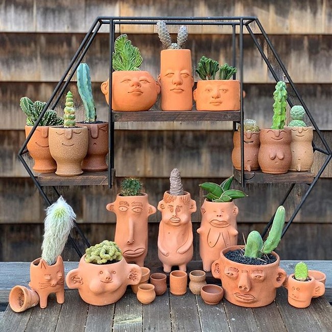 Cyril mengatakan bahwa biasanya dia akan menambahkan koleksi satu hingga dua buah tanaman baru setiap minggunya. Setiap harinya Cyril bisa menghabiskan sekitar 30 menit untuk sekedar mengecek dan mengagumi pertumbuhan tanaman-tanaman hias koleksinya. Foto: Instagram @cyrilcybernated