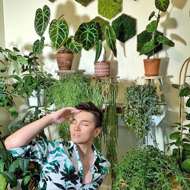 Cyril juga sangat menghindari untuk pergi ke luar kota lebih dari seminggu. Namun jika dia terpaksa harus meninggalkan rumah selama beberapa hari, biasanya Cyril akan menitipkan tanaman-tanaman koleksinya pada keluarga atau temannya agar mereka dapat memantau perkembangan tanaman-tanaman kesayangannya tersebut. Foto: Instagram @cyrilcybernated