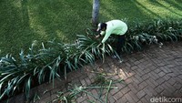 Saat ditutup, taman ini tetap dirawat dan menjadi kian asri.