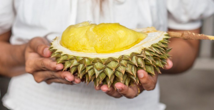 Asian young woman holding Durian is a king of fruit in Thailand and asia fruit