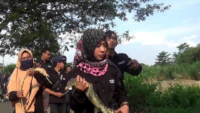 hewan liar dilepas basmi hama