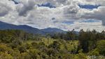 Foto: Shangri-La di Lembah Baliem