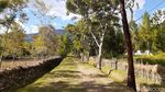 Foto: Shangri-La di Lembah Baliem