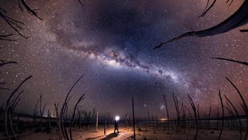 Michael Goh mengambil pemandangan Milky Way yang menghiasi langit malam di Danau Dumbleyung, Australia dalam foto berjudul Nightmare. Terlihat pohon-pohon yang telah mati karena kadar garam di danau ini yang sangat tinggi. Foto: Michael Goh/Milky Way Photographer of the Year