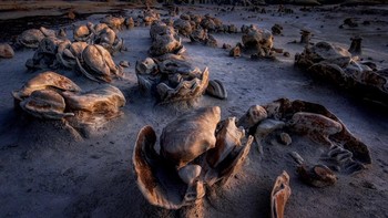 Alien Eggs karya Debbie Heyer. Foto ini diambil di Badlands New Mexico, AS yang terlihat seperti dunia alien. Foto: Debbie Heyer/Milky Way Photographer of the Year