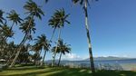 Potret Pantai Cantik Banyuwangi yang Didatangi Jokowi