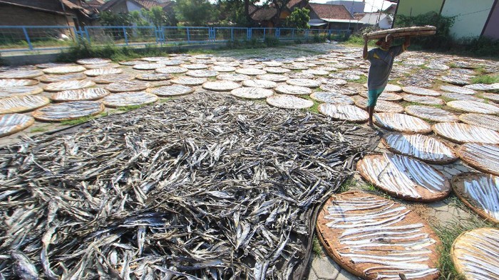 Pekerja menjemur kerupuk kulit ikan patin di Indramayu, Jawa Barat, Minggu (28/6/2020). Menurut pengusaha, permintaan kerupuk kulit ikan dari berbagai daerah mulai meningkat seiring penerapan tatanan era normal baru. ANTARA FOTO/Dedhez Anggara/aww.