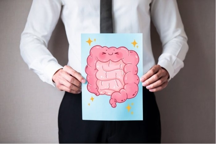 Menurut Penelitian, 70% Daya Tahan Tubuh Sumbernya dari Usus