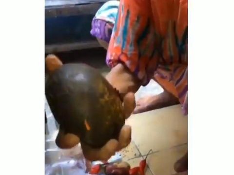 dimarahi emak karena tanya bumbu dapur