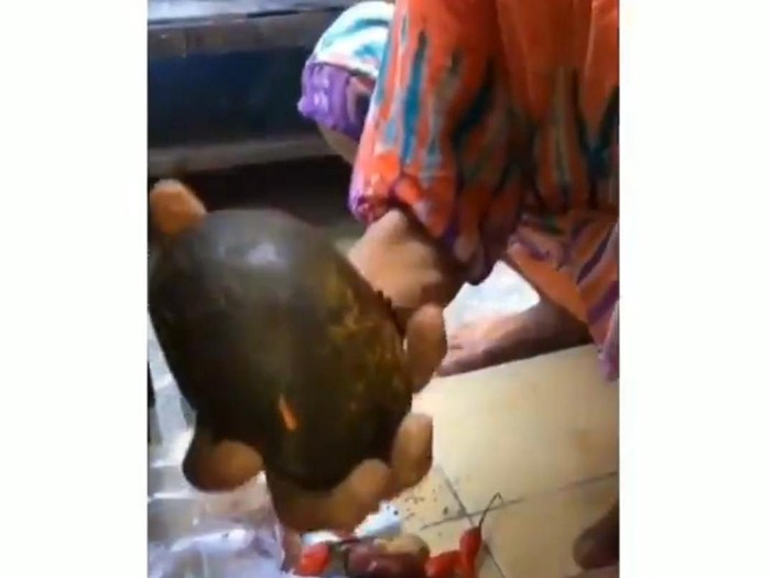 dimarahi emak karena tanya bumbu dapur dimarahi emak karena tanya bumbu dapur