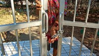 Penjaga makam Krapyak, Sapari (60) menunjukkan pintu masuk makam sisi timur. Tepatnya pintu masuk di bekas ditemukan sembilan bungkusan kafan misterius yang berisi bangkai ayam hingga foto perempuan. Pintu masuk itu tampak sudah terpasang kunci berupa gembok dan rantai.