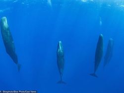 Bukti Banyak Keindahan di Bumi yang Belum Dilihat