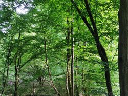 Bukti Banyak Keindahan di Bumi yang Belum Dilihat