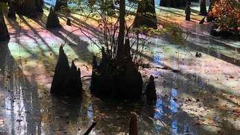 Kolam pelangi Foto: Brightside