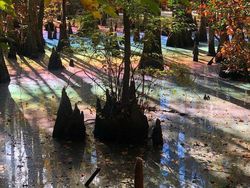 Bukti Banyak Keindahan di Bumi yang Belum Dilihat