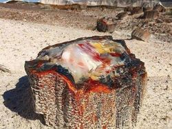 Bukti Banyak Keindahan di Bumi yang Belum Dilihat