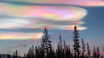 enomena awa nacreous. Foto: Brightside