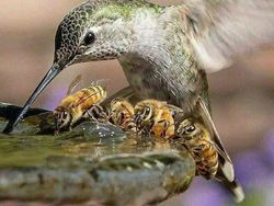 Bukti Banyak Keindahan di Bumi yang Belum Dilihat