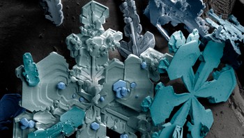 Kepingan salju saat diperbesar menggunakan microkop eletron. Foto: Brightside