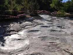 Bukti Banyak Keindahan di Bumi yang Belum Dilihat