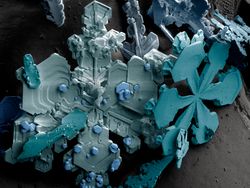 Bukti Banyak Keindahan di Bumi yang Belum Dilihat