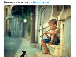 Meme Tiktok Dilarang India dan Luputnya PUBG
