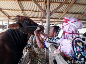 Catat! Ini Aturan Berjualan Hewan Kurban di Kota Bandung