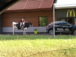 5 Aksi Aneh Orang Pesan Makanan Drive Thru, Naik Kuda hingga Sapi