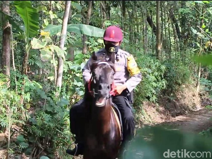 Polisi di Kabupaten Madiun Aipda Hendry Setiawan tengah menjadi perbincangan. Selama 11 tahun ia bertugas sebagai Bhabinkamtibmas Polsek Dolopo menggunakan kuda sebagai alat transportasi.