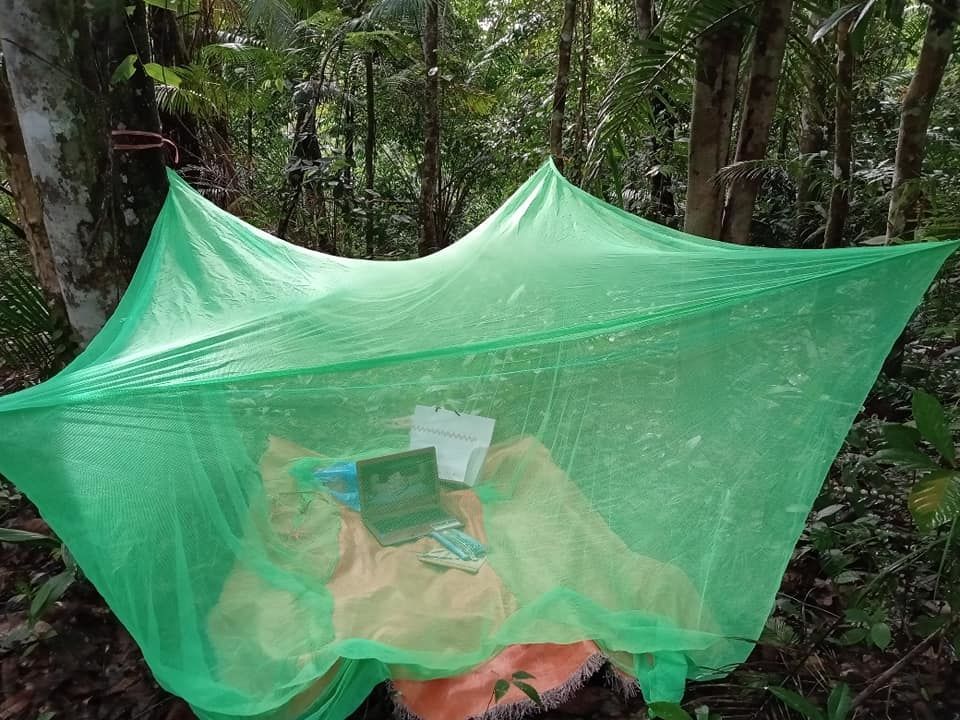 Rose Nawie Anjap Rose brought a parang along as she sits in the jungle for e-learning. — Photo: Rose Nawie Anjap