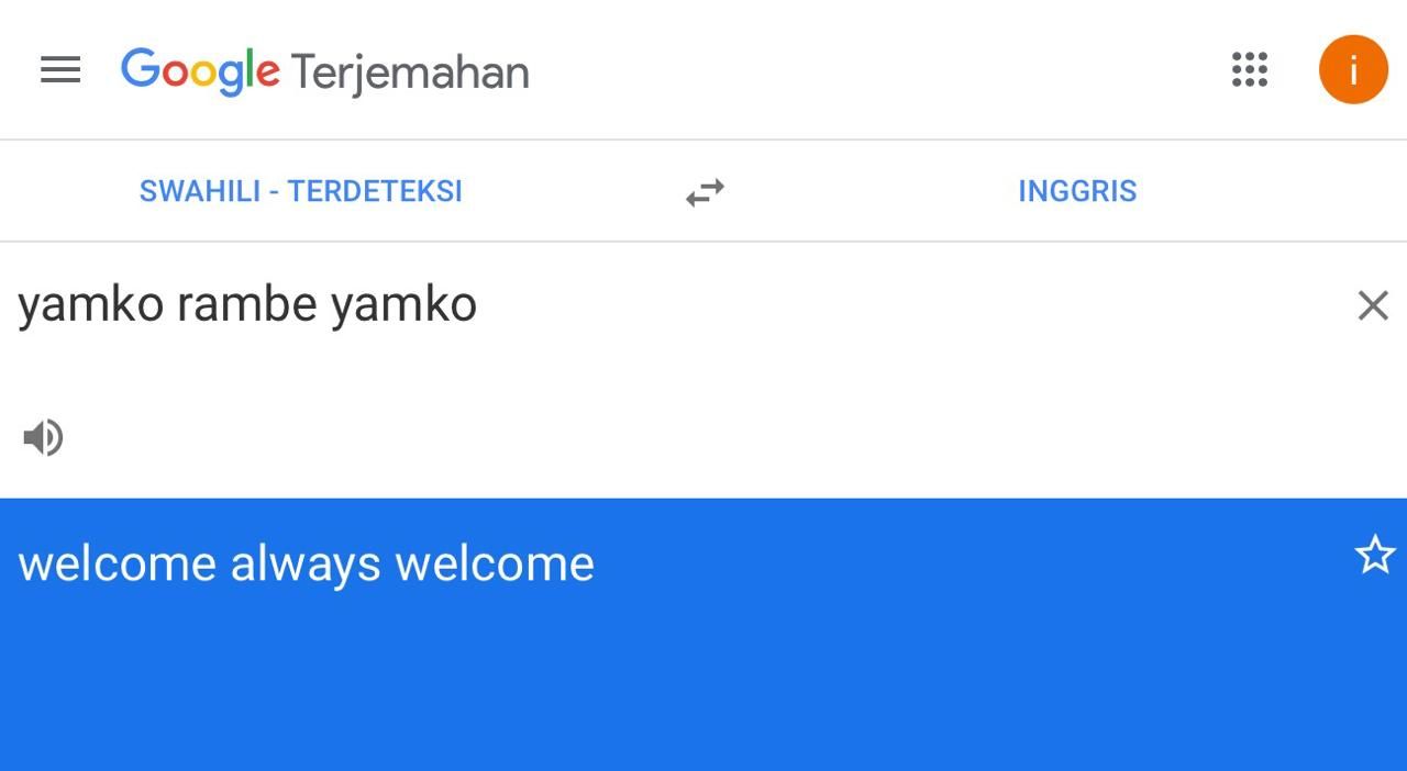 Tangkapan layar Google translate soal deteksi bahasa Yamko Rambe Yamko