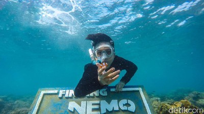 Foto: Menanam Terumbu Karang di Gili Ketapang