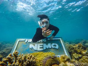 Foto: Menanam Terumbu Karang di Gili Ketapang