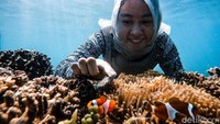 Salah seorang pengunjung dari Surabaya bernama Diah Nirmala Apsari, mengaku kagum dengan keindahan bawah laut di Pulau Gili Ketapang. Dia berharap ke depan pulau ini semakin bersih dan nyaman dikunjungi. (M Rofiq/detikcom)
