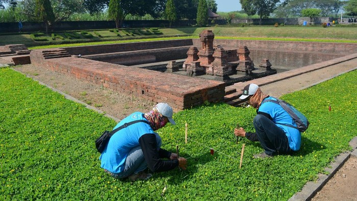 EVALUASI PEMUGARAN CANDI TIKUS Petugas Balai Pelestarian Cagar Budaya (BPCB) Jatim melakukan kegiatan evaluasi pemugaran di situs Candi Tikus di Desa Temon, Kecamatan Trowulan, Kabupaten Mojokerto, Rabu (1/7/2020). Kegiatan ini sebagai upaya untuk mengumpulkan data yang meliputi data teknis keterawatan atau konservasi, lingkungan, dan aspek pemanfaatan sehingga mengetahui perkembangan yang terjadi pada Candi Tikus setelah pemugaran terakhir pada 1984-1985. ANTARA FOTO/Syaiful Arif/aww.
