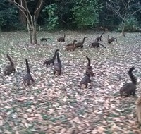 foto lucu tipu mata