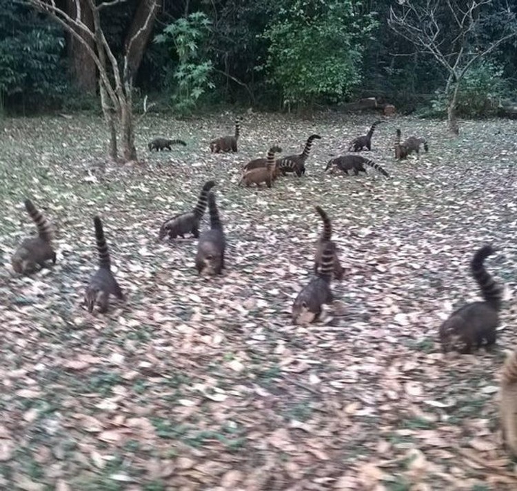 foto lucu tipu mata