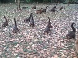 Kumpulan Foto yang Harus Dilihat Baik-baik