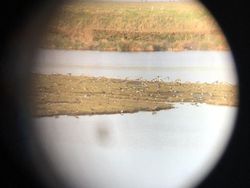 Kumpulan Foto yang Harus Dilihat Baik-baik