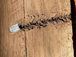 Kumpulan Foto yang Harus Dilihat Baik-baik