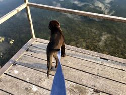 Kumpulan Foto yang Harus Dilihat Baik-baik