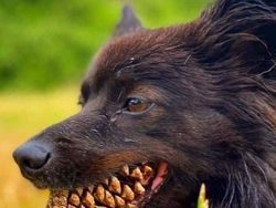 Kumpulan Foto yang Harus Dilihat Baik-baik