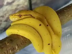 Kumpulan Foto yang Harus Dilihat Baik-baik