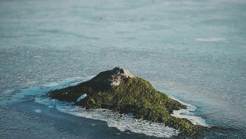 Terlihat seperi pulau di tengah laut? nyatanya ini hanyalah batu berlumut dalam genangan air beku.  (Foto: Brightside)
