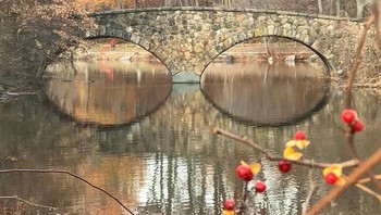 Seperti kaca mata yang sedang mengawasi, padahal ini pantulan dari sungai saja. (Foto: Brightside)