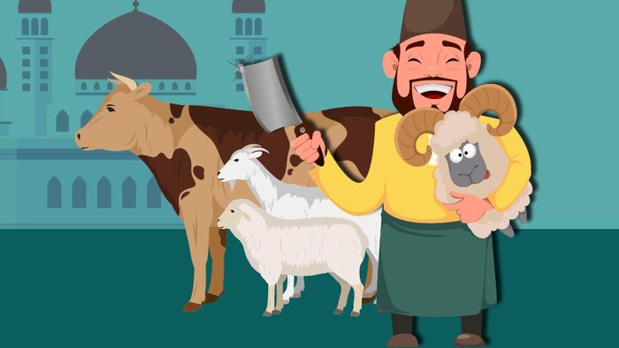 INfografis Panduan lengkap penyembelihan hewan qurban