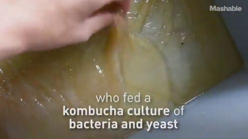 Kemasan yang Bisa Dimasak dan Dimakan